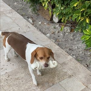 Meet your Posher, Elyse